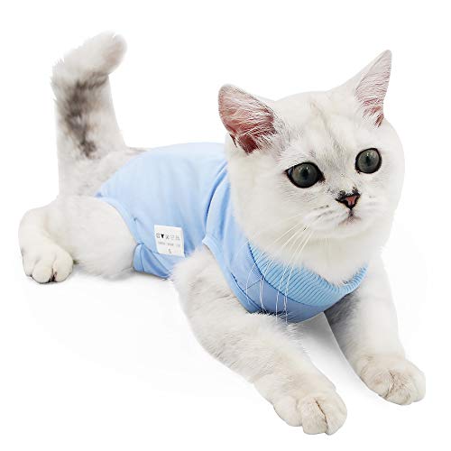 Dotoner Gatos Traje de recuperación Profesional para heridas Abdominales o Enfermedades de la Piel Alternativo para Gatos y Perros después de la cirugía Ropa para el hogar(Azul,s)