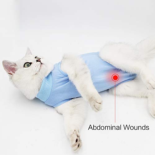 Dotoner Gatos Traje de recuperación Profesional para heridas Abdominales o Enfermedades de la Piel Alternativo para Gatos y Perros después de la cirugía Ropa para el hogar(Azul,s)