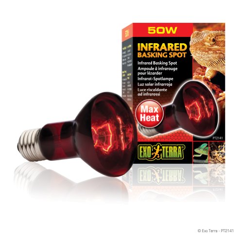 EXO TERRA Infra-Rojo Nocturno Heat GLO, 50 W