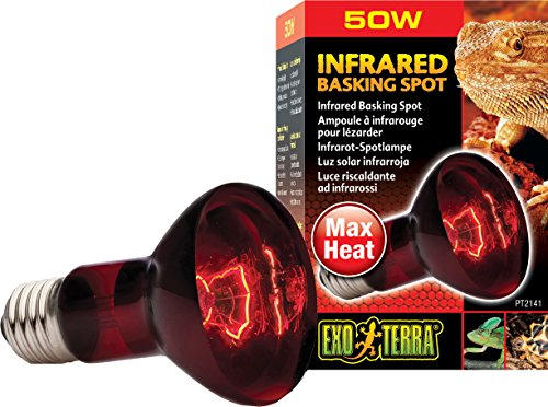 EXO TERRA Infra-Rojo Nocturno Heat GLO, 50 W