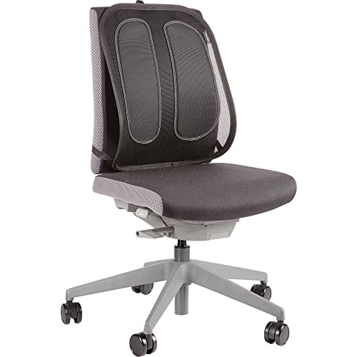 Fellowes Respaldo ergonómico - Cojín Lumbar para Cualquier Silla. Mejora la Postura, Alivia el Dolor de Espalda y Reduce la Fatiga