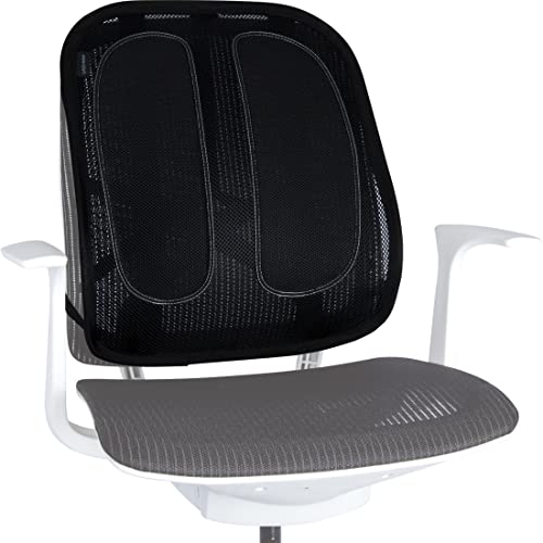 Fellowes Respaldo ergonómico - Cojín Lumbar para Cualquier Silla. Mejora la Postura, Alivia el Dolor de Espalda y Reduce la Fatiga