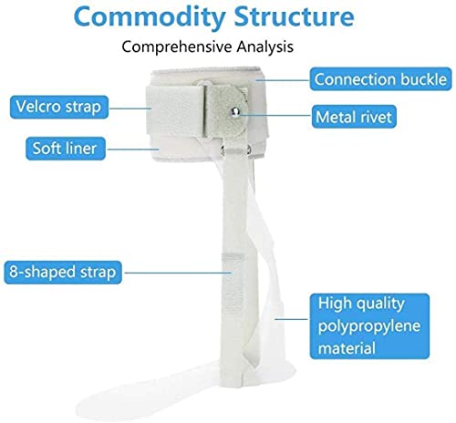 Fhdisfnsk Soporte De Ortesis De Tobillo Y Pie - Soporte AFO - Férula De Soporte De Pie Caído - Soporte Médico De Corrección Postural del Pie Caído