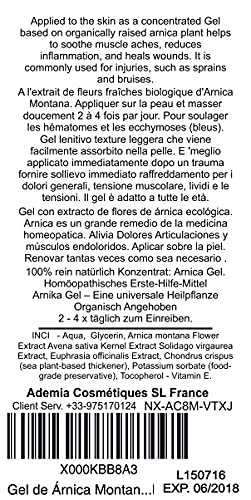 Gel de Árnica Montana 90% 1000 g Acción Rápida Remedio herbal 100% Natural para Aliviar el Dolor Anti-inflamatorio Analgésico Aliviar los daños golpes Deporte