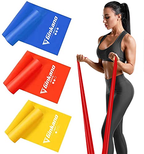 Haquno Bandas Elasticas Fitness, 1.5M Cintas Elasticas con 3 Niveles de Resistencia, Pilates, Crossfit, Estiramientos, Musculacion, Piernas, Brazos, Fuerza