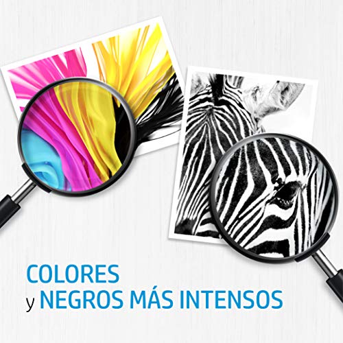 HP 304 3JB05AE, Negro y Tricolor, Pack de 2, Cartuchos de Tinta Originales, Compatible con impresoras de inyección de tinta HP DeskJet 2620, 2630, 3720, 3730, 3750, 3760; HP Envy 5010, 5020, 5030