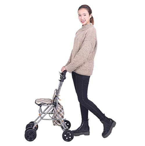 HYYQG Andador de Cuatro Ruedas con Asiento, Dispositivo de Asistencia para Caminar Ayuda de Apoyo Liviana para Ancianos discapacitados y Mamá papá Abuelo, Silver