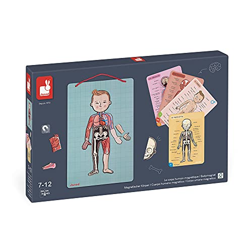 Janod- Imán Juego Educativo del Cuerpo Humano-Anatomía, Organos, Esqueleto, Músculos 76 Piezas Magnéticas-A Partir de 7 años-12 Lenguas (J05491)