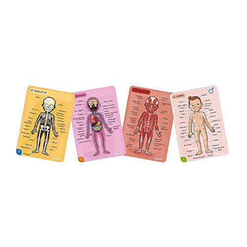 Janod- Imán Juego Educativo del Cuerpo Humano-Anatomía, Organos, Esqueleto, Músculos 76 Piezas Magnéticas-A Partir de 7 años-12 Lenguas (J05491)