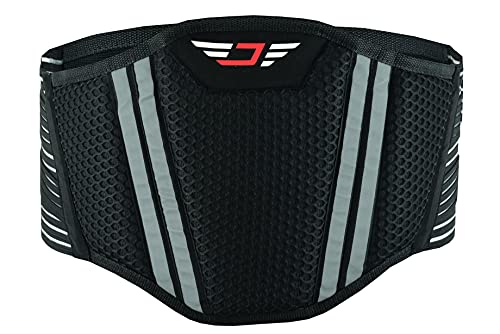 JAUNTY Faja lumbar para motocicleta, soporte lumbar, protección para hombres y mujeres, tamaño ajustable con elementos de conexión y diseño transpirable, equipo de protección. (Large)