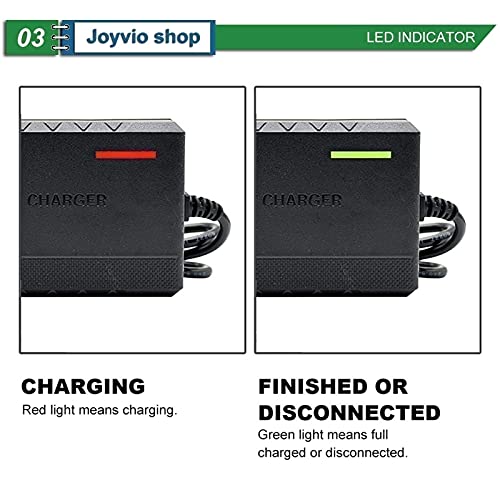 joyvio Cargador de batería para Scooter de 24 V 2 A para Go-Go Elite Traveller Ezip 400500; Schwinn S300 S350 S400 S500 Jazzy Silla eléctrica Mongoose M300 M350 Series (Size : 2A)