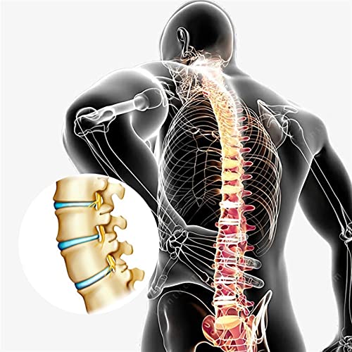 JuZi Store Faja Lumbar, Cinturón De Descompresión Lumbar Soporte Espalda Masaje Espinal Tracción Inflable para Alivio del Dolor De Espalda para 29-49 Pulgadas Cintura