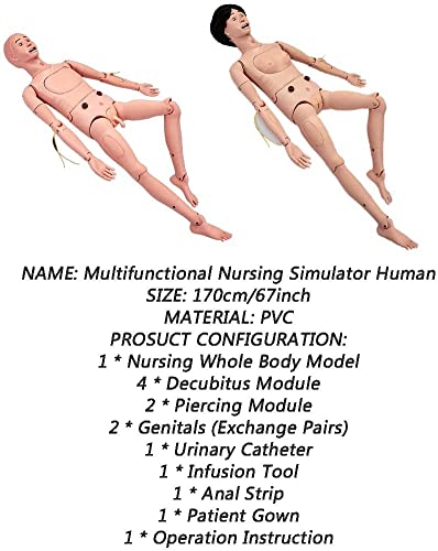 JuZi Store Habilidades De Atención Al Paciente Maniquí Maniquí De Entrenamiento Geriátrico con Genitales Intercambiables Y Módulos De Escaras para Enfermería Formación Médica Enseñanza (Color : Male)