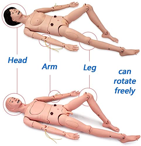 JuZi Store Habilidades De Atención Al Paciente Maniquí Maniquí De Entrenamiento Geriátrico con Genitales Intercambiables Y Módulos De Escaras para Enfermería Formación Médica Enseñanza (Color : Male)