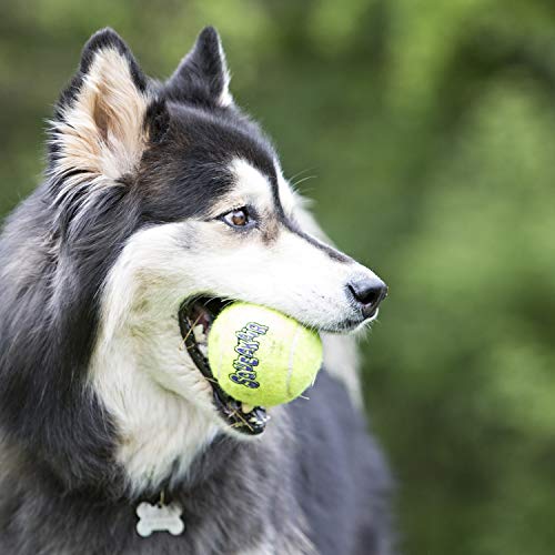 KONG - Squeakair Balls - Pelotas de Tenis sonoras Que respetan Sus Dientes - para Perros de Raza Mediana (Pack de 3)