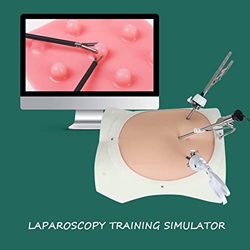 LiRuiPengBJ Kit Simulador Cirugía Laparoscópica, Caja Entrenamiento Portátil con Luz, 4 Instrumentos Quirúrgicos & 9 Módulos Formación y Endoscopio 3D (Size : 0degree)