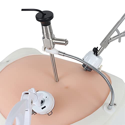 LiRuiPengBJ Kit Simulador Cirugía Laparoscópica, Caja Entrenamiento Portátil con Luz, 4 Instrumentos Quirúrgicos & 9 Módulos Formación y Endoscopio 3D (Size : 0degree)