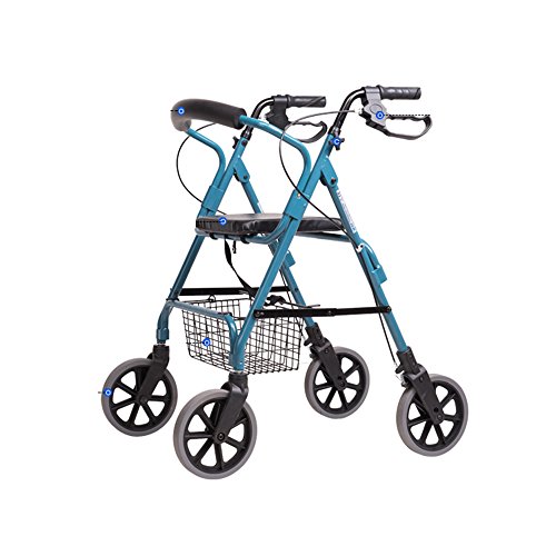 LIU UK Shopping trolley Multifunción Walking Aid Carro de Compras Ruedas Antideslizante Impermeable Plegable Conveniente para Las Personas Mayores, Carrito para Personas con discapacidad