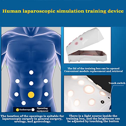 LMEILI Equipo De Caja De Simulador De Entrenador Laparoscópico, Simulación Dispositivo De Entrenamiento De Simulación Laparoscópica Humana Escala 1: 1 Modelo Humano Endoscopio HD