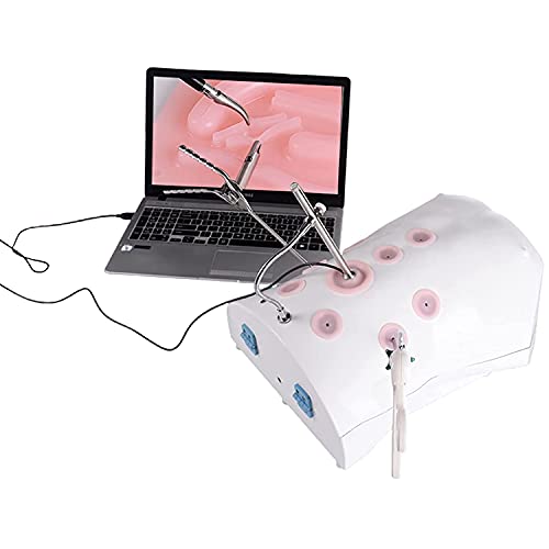 LMEILI Equipo De Caja De Simulador De Entrenador Laparoscópico, Simulación Dispositivo De Entrenamiento De Simulación Laparoscópica Humana Escala 1: 1 Modelo Humano Endoscopio HD