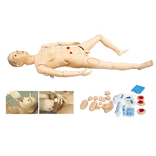 Modelo De Maniquí De Entrenamiento De Enfermería De Combinación Multifuncional, Modelo Anatómico Humano, Con Módulos Intercambiables De Genitales Y Escaras Para Entrenamiento Médico De Enfermería