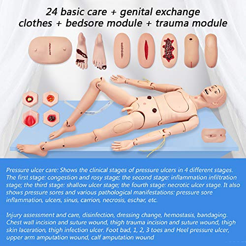 Multifunción Maniqui de Enfermeria 170cm Masculino Muneco Practica Enfermeria Simulador Medico con Intercambio Genitales & Ropa & Módulo de Escaras & Módulo de Trauma & Bolsa de Almacenamiento