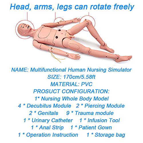 Multifunción Maniqui de Enfermeria 170cm Masculino Muneco Practica Enfermeria Simulador Medico con Intercambio Genitales & Ropa & Módulo de Escaras & Módulo de Trauma & Bolsa de Almacenamiento