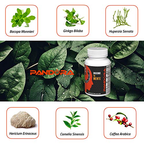 Pandora Nootrópico Natural. Favorece la Concentración y Memoria. Impulsa Tu Energía y Motivación (bacopa Monnieri, Huperzina A, Ginkgo Biloba, Melena de León, Cafeína, Teanina) .30 Cápsulas