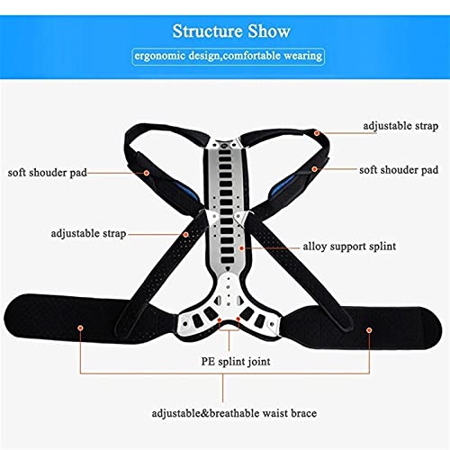 PQQ Corrector de Postura extensión de Metal alisador de Espalda Chaleco Corrector de Postura rígido Ajustable para Alivio de la cifosis y Tratamiento de la Columna jorobada o Lordosis (Color : S)