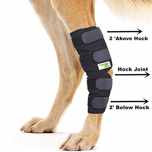 RockPet Órtesis Curadora Articulación Pata Trasera de Perro Envoltura Canina de Corvejón (S)