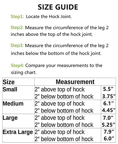 RockPet Órtesis Curadora Articulación Pata Trasera de Perro Envoltura Canina de Corvejón (S)