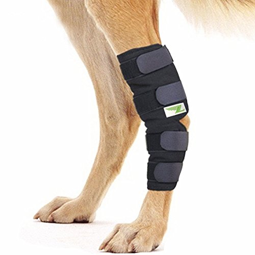 RockPet Órtesis Curadora Articulación Pata Trasera de Perro Envoltura Canina de Corvejón (S)