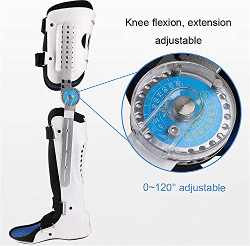 SEESEE.U Órtesis de Rodilla, Tobillo y pie, Rehabilitación postoperatoria Férulas de Tobillo de Rodilla, Muslo, Rodilla, Pierna, Tobillo, ortesis de extremidad Fija, Derecha