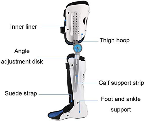 SEESEE.U Órtesis de Rodilla, Tobillo y pie, Rehabilitación postoperatoria Férulas de Tobillo de Rodilla, Muslo, Rodilla, Pierna, Tobillo, ortesis de extremidad Fija, Derecha