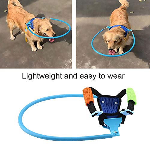 Sheens Anillo anticolisión para Perros Ciegos, catarata Ligera Ajustable Guía Segura para Animales Cubierta Protectora de círculo con halo Gatos para Mascotas Ciegos Arnés para Collar (XS)