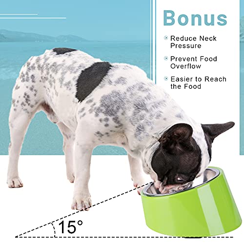 Super Design - Comedero con ángulo de inclinación de 15 grados para perros y gatos. Comedero para mascotas antideslizante y antiderrames, y fácil para coger la comida