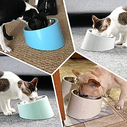 Super Design - Comedero con ángulo de inclinación de 15 grados para perros y gatos. Comedero para mascotas antideslizante y antiderrames, y fácil para coger la comida