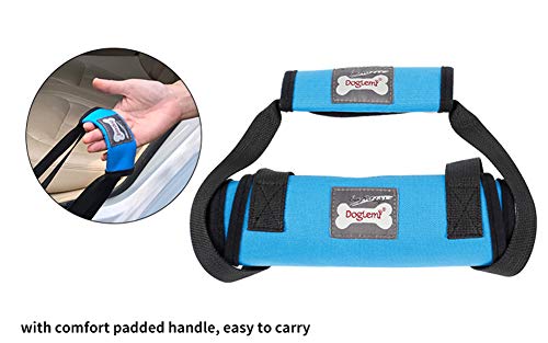 Tineer Arnés para Levantar Perros para Perros de Edad Avanzada o discapacitados - Soporte Sling Ayuda Posterior Piernas débiles Levántese, camine, suba escaleras (XL, Azul)