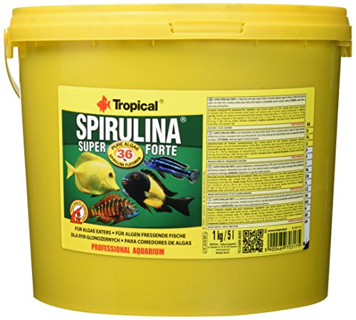 Tropical Super spiru Lina Forte Copo Forro con 36% spiru Lina (plat Ensis Porcentaje), 1er Pack (1 x 5 l)