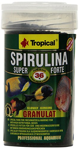 Tropical Super spiru Lina Forte granulado Forro con 36% spiru Lina (plat Ensis Porcentaje), 1er Pack (1 x 100 ml)