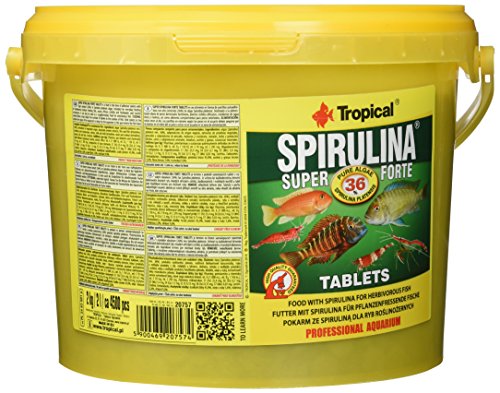 Tropical Super spiru Lina Forte Tablets, 1er Pack (1 x 2000 Grams)