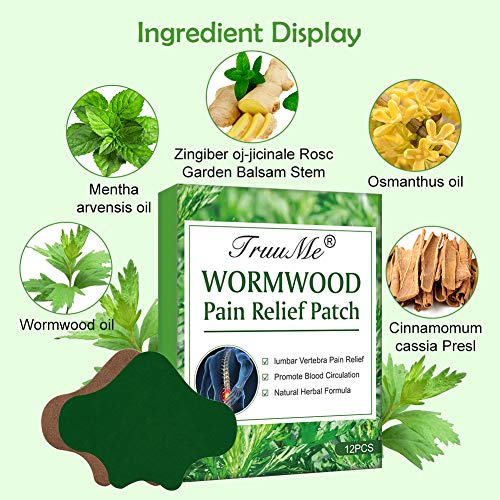 Unguento Para el Dolor, Pain Relief Patch, Parches Térmicos, 12 Piezas Autocalentamiento Pegatina de Ajenjo Natural, Parche de Alivio del Dolor Pegatina de Moxibustión Lumbago Dolor