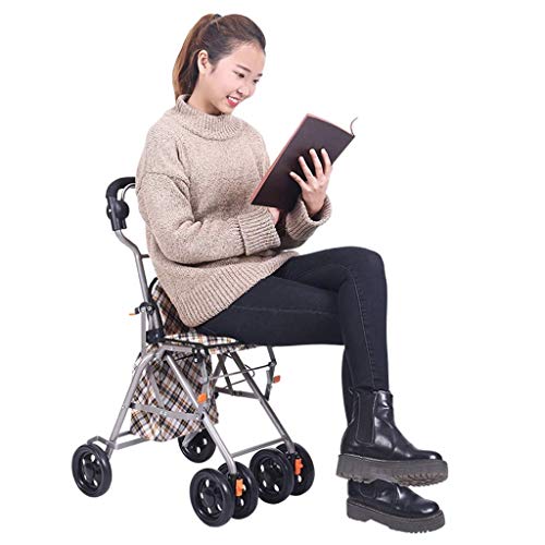 YYSHLA Carrito de compras sobre ruedas Con carrito de carretilla plegable Carritos de compra Walker Cesta de la compra Muleta de hombre viejo Carrito de compra plegable Plegable con freno Dar a los an