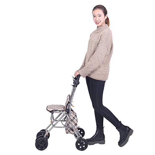 YYSHLA Carrito de compras sobre ruedas Con carrito de carretilla plegable Carritos de compra Walker Cesta de la compra Muleta de hombre viejo Carrito de compra plegable Plegable con freno Dar a los an