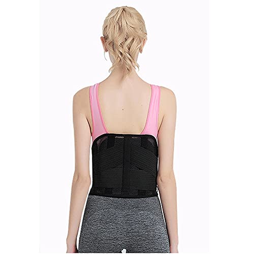 ZFF Faja Lumbar Soporte Espalda Hombre Mujer Bandas Lumbar Cinturón Lumbar De Apoyo Red Transpirable para Actividades Deportivas con Almohadilla Lumbar Extraíble (Size : XL/X-Large)