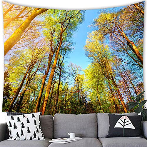 zhuifengshaonian Paisaje de Bosque otoñal Tapiz Creativo Tapiz de Pared Decoración de la habitación Sábana de Picnic Mantel (P-4255) 240x300cm