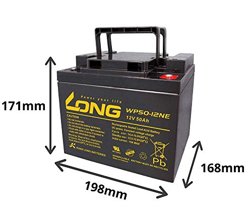 AGM WP50-12NE - Batería de plomo (12 V, 50 Ah)