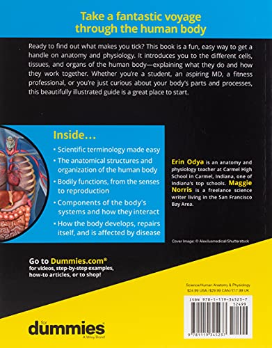 Anatomy and Physiology For Dummies, 3rd Edition (For Dummies (Math & Science))