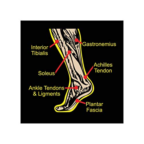 Balancín de pie para cuidado de la salud norteamericana, posición óptima del pie para flexibilidad, fascitis plantar, tendinitis de Aquiles y otras condiciones crónicas