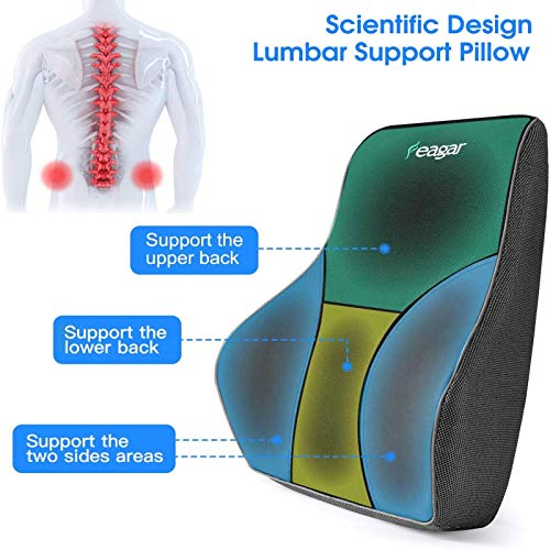 Feagar Cojin Lumbar Silla Oficina - Cojin Lumbar Viscoelástica, Almohada Lumbar para Coche,Soporte Lumbar Coche, Soporte Almohada a la Espalda, Almohada para Aliviar el Dolor de Espalda,,PU&Negro